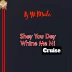 DJ YK Mule – Shey You Dey Whine Ni Cruise