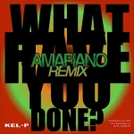 Kel P – What Have You Done (Amapiano Remix)