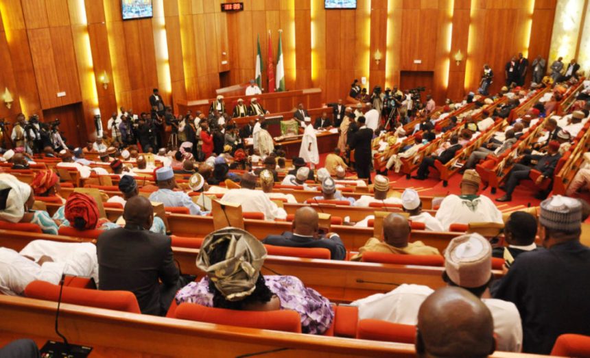 Nigerian senate 1 984x598