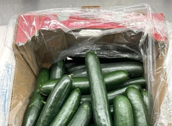 cucumbers