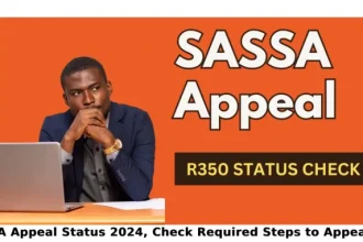 SASSA Appeal Status 2024 Check Required Steps to Appeal SRD R350 Grant 678x381